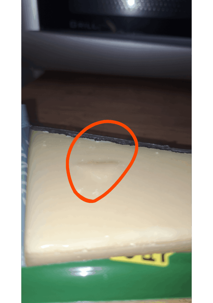 What is thus bump in my cheese (it's grana padano)