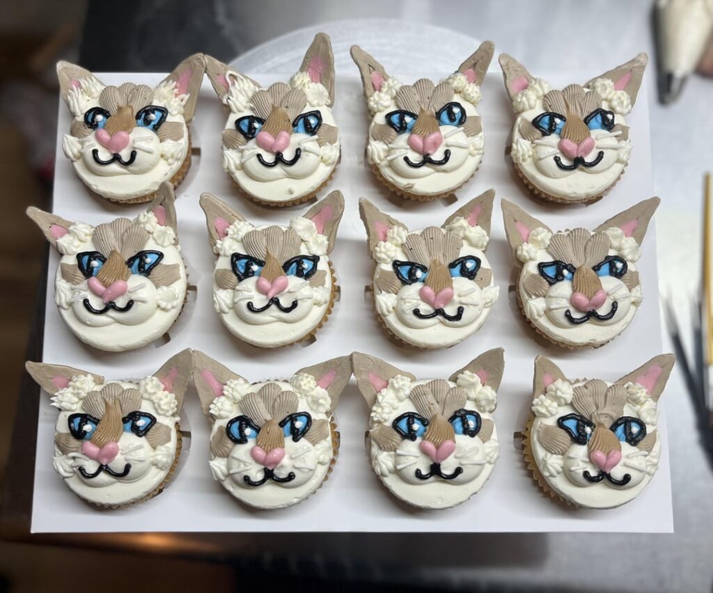 Kitty cat Siamese cupcakes (cat tax included) Kitty cat Siamese cupcakes (cat tax included)