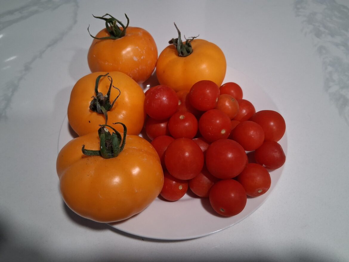 Finally!  It's happened to me!!