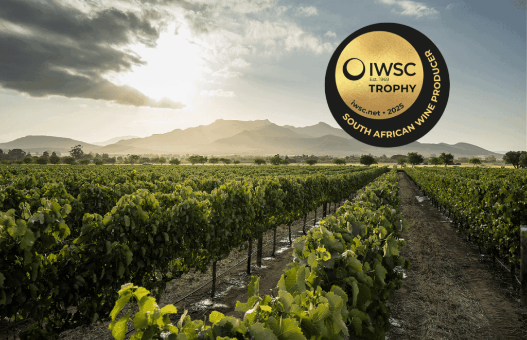 IWSC Global Judging in South Africa: Producer Trophy Announced