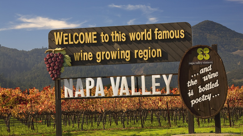 Napa Valley sign with autumn leaves