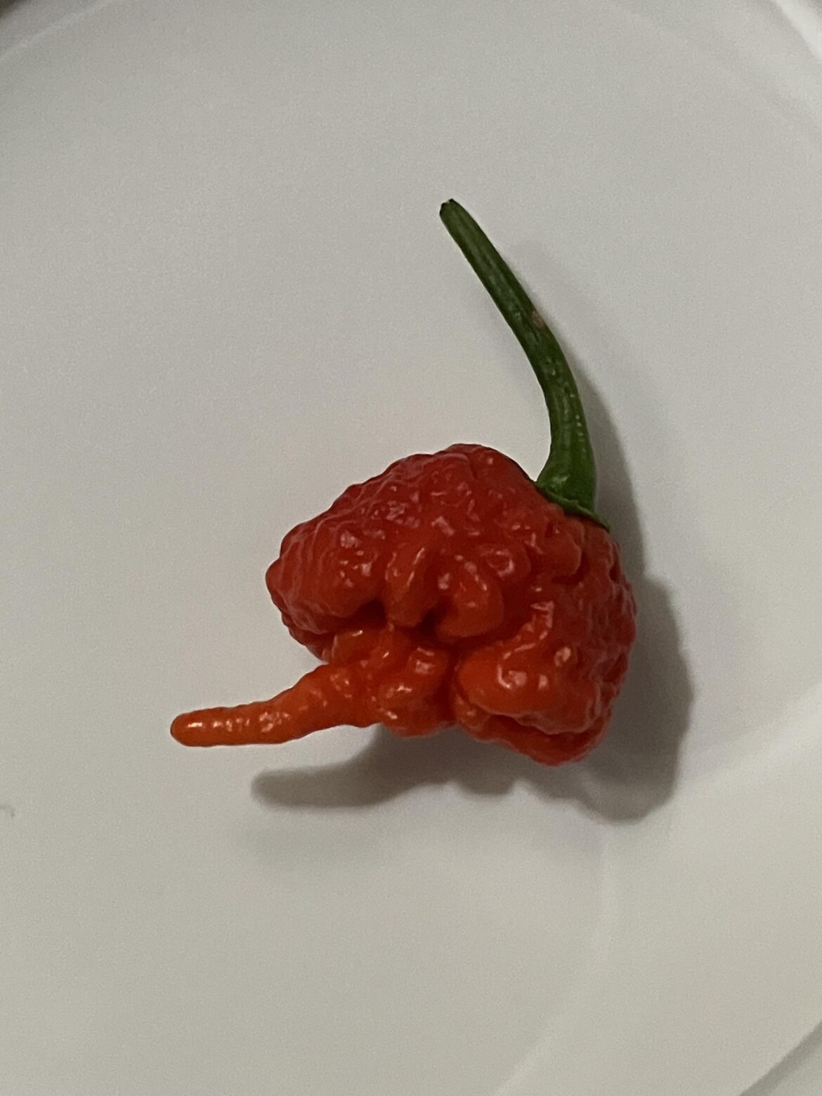 The reaper is ready 🔥🔥🔥🔥