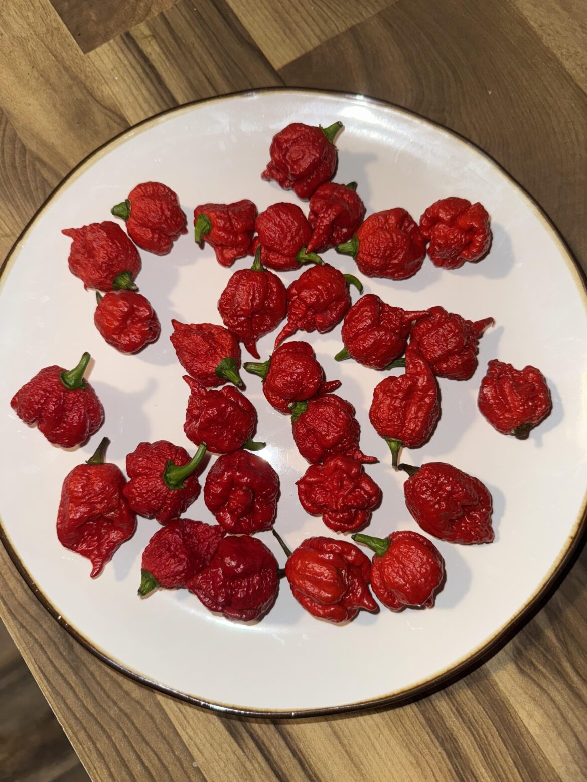 They have arrived after being lost in the mail for two freaking weeks.