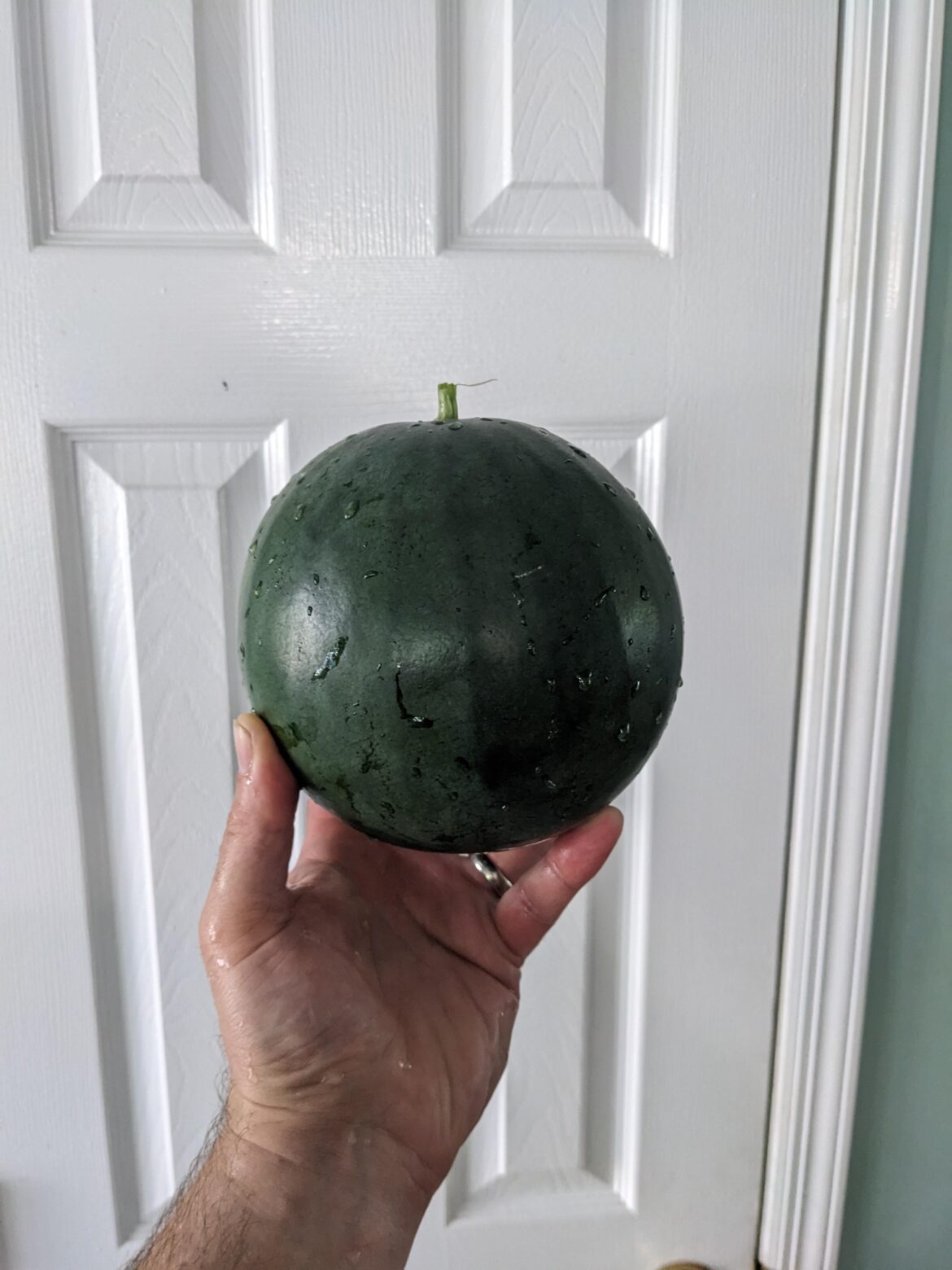 It's a ball?, it's a globe? NO IT'S A WATERMELON THAT I ACTUALLY GREW
