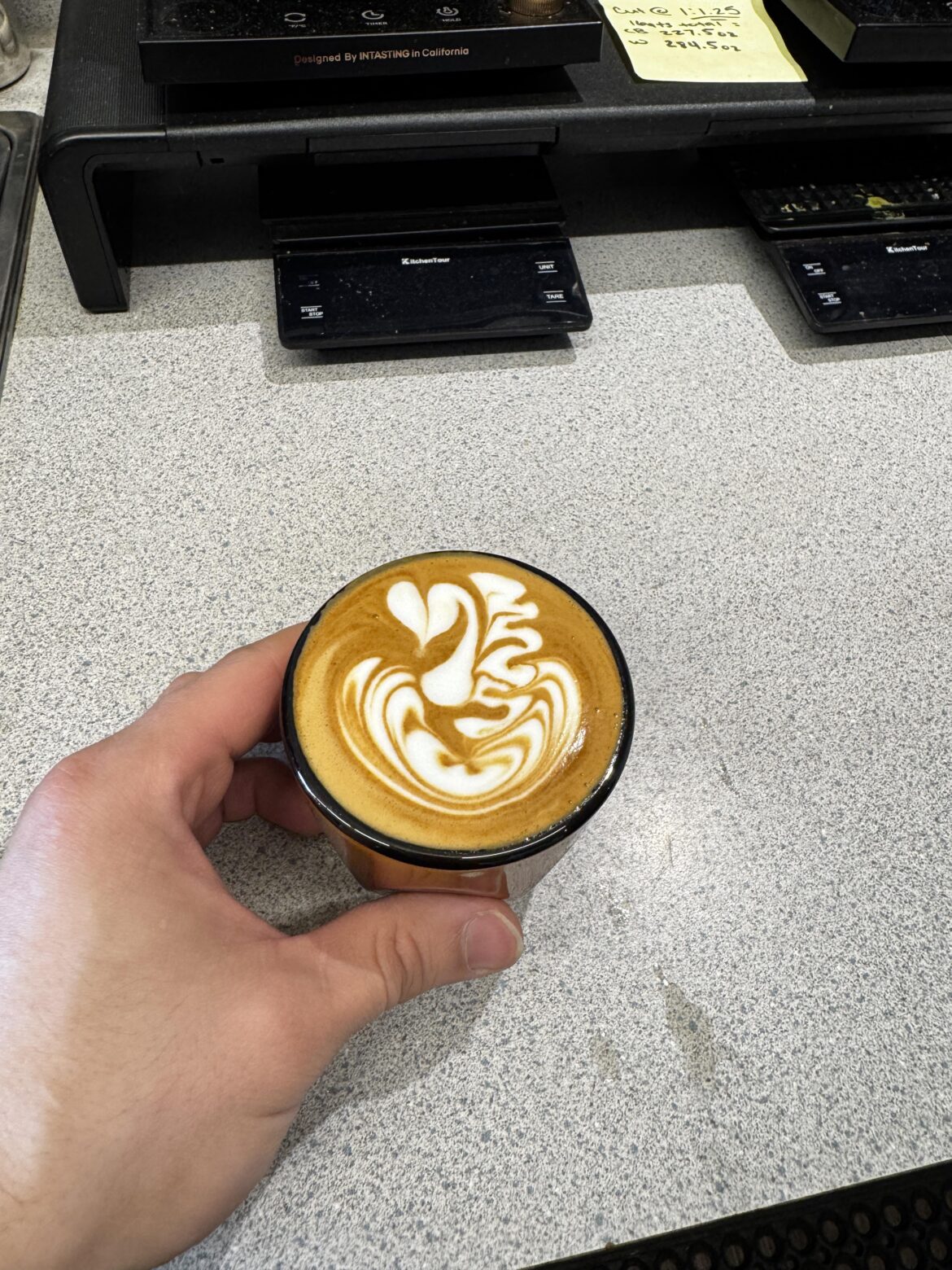 Cortados are probably my favorite pours 😍 so tiny and cute ☺️