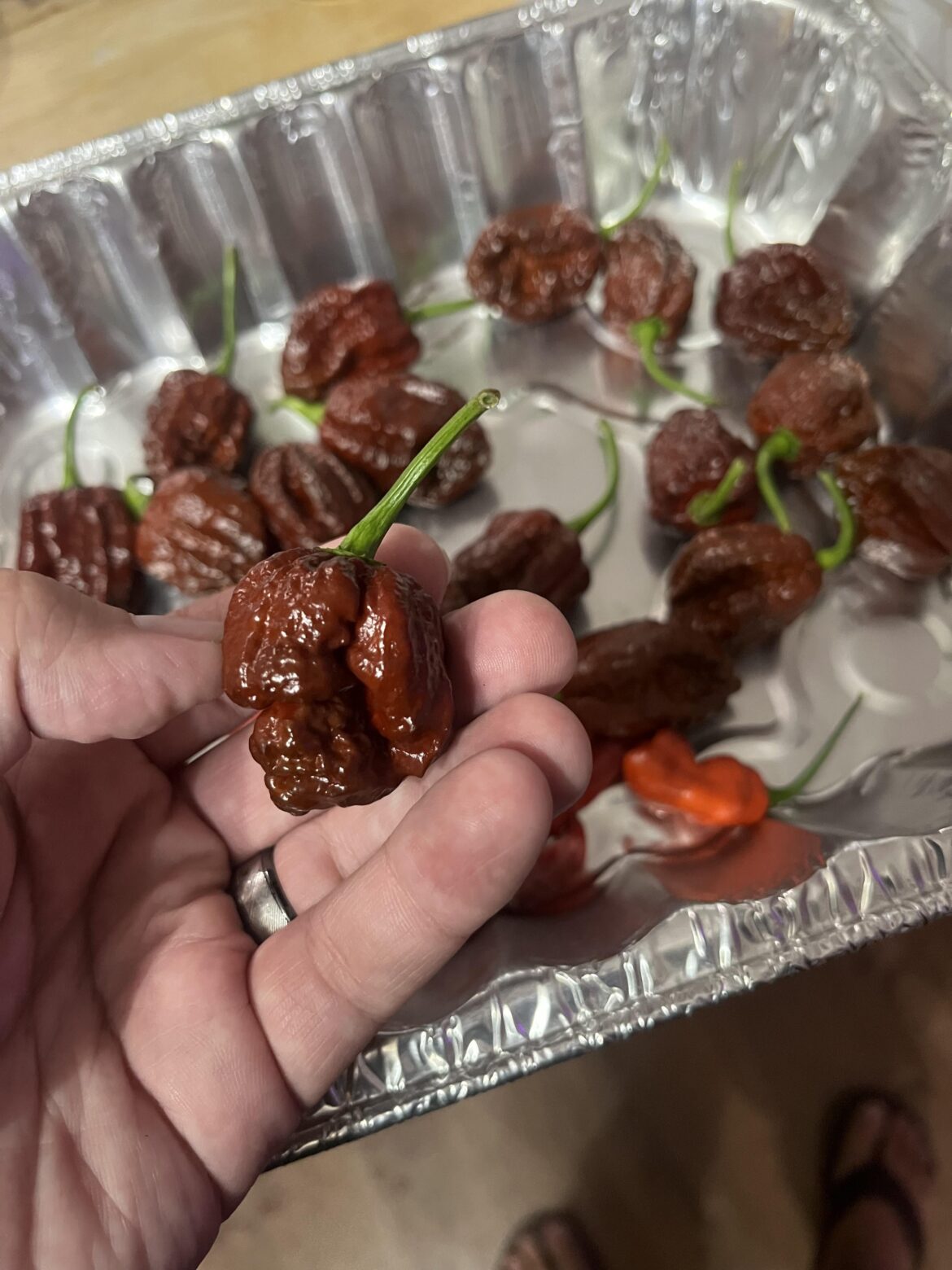 About to smoke these, then let them smoke me.