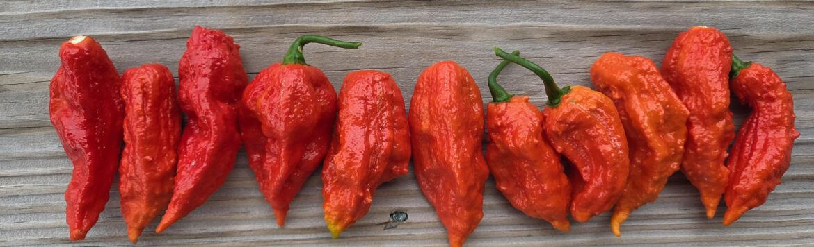 Is it normal for these to feel hollow?