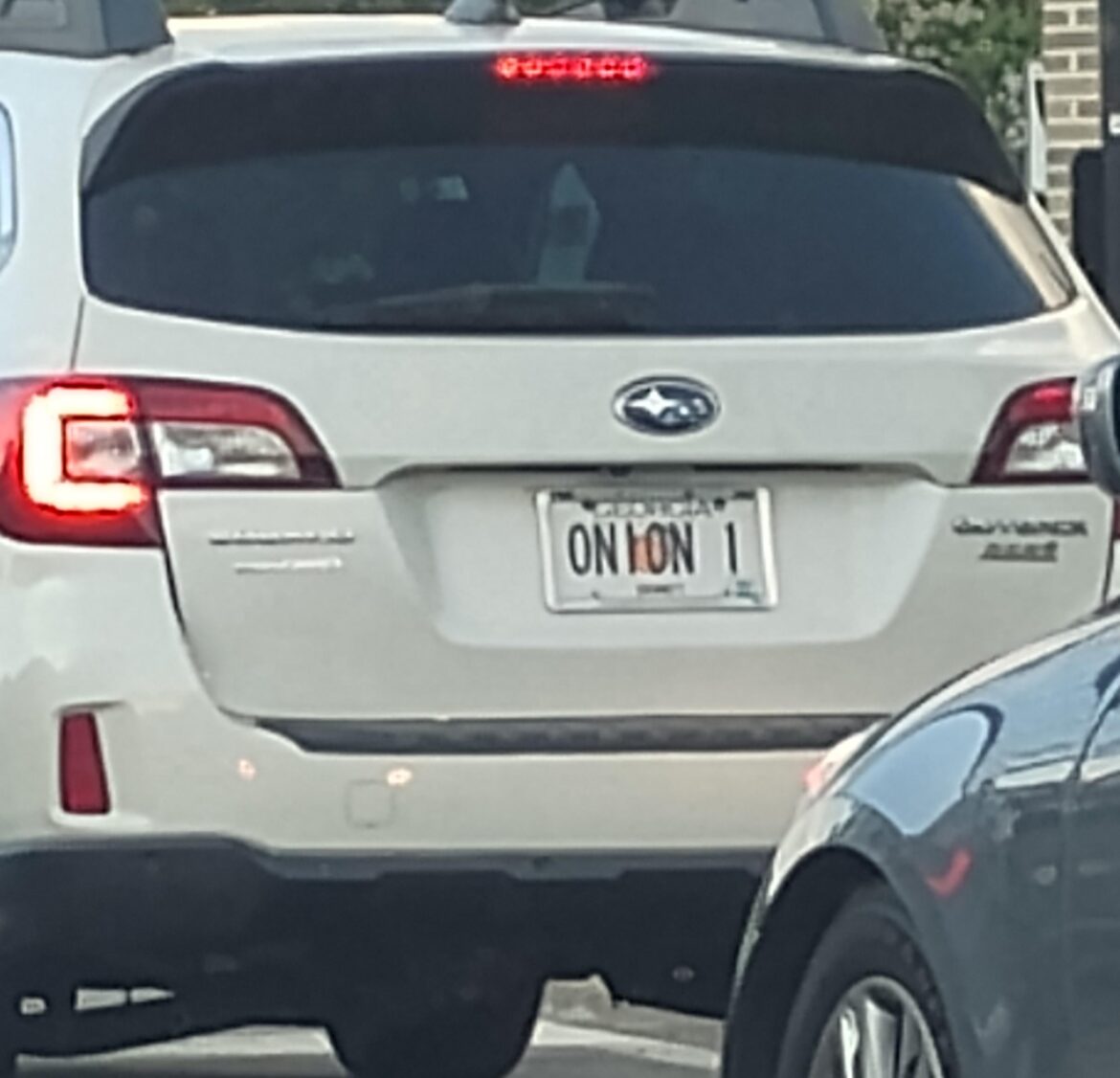 Found a member in the wild