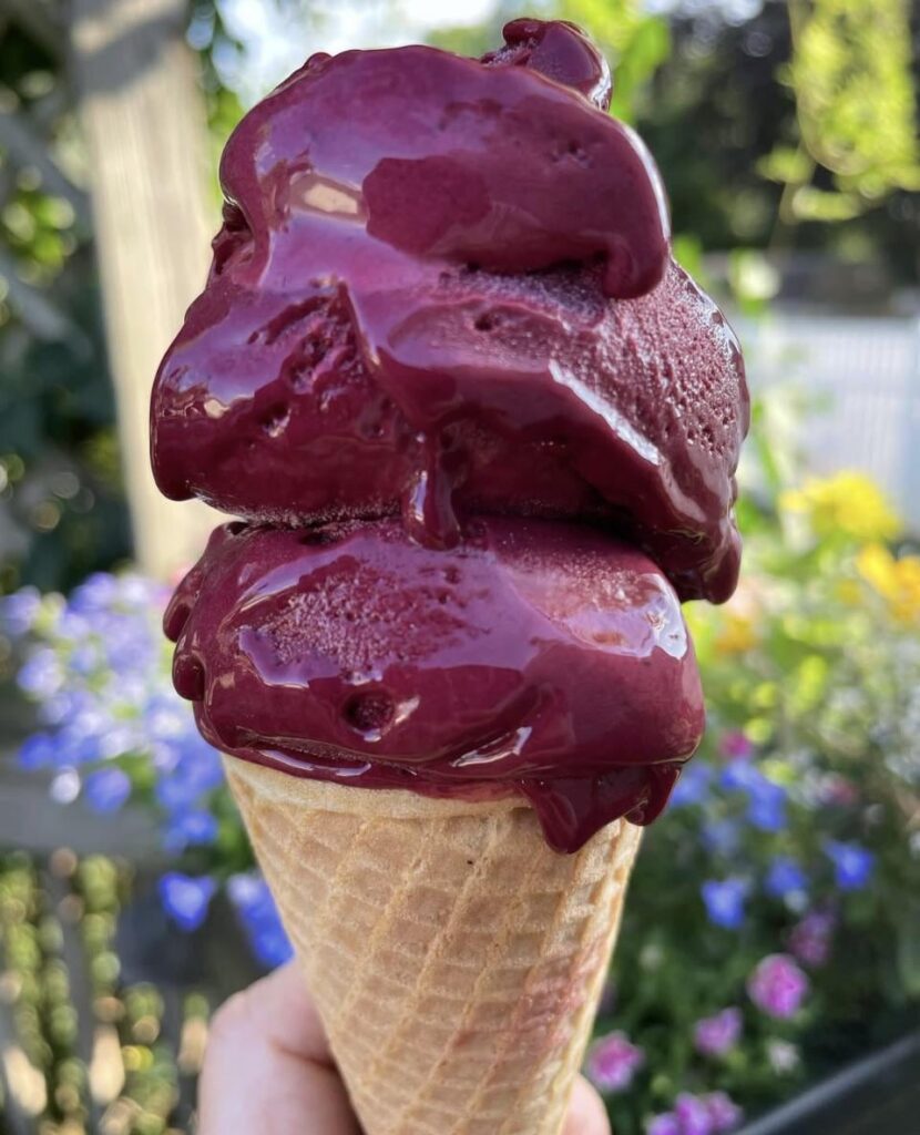 Black raspberry forever