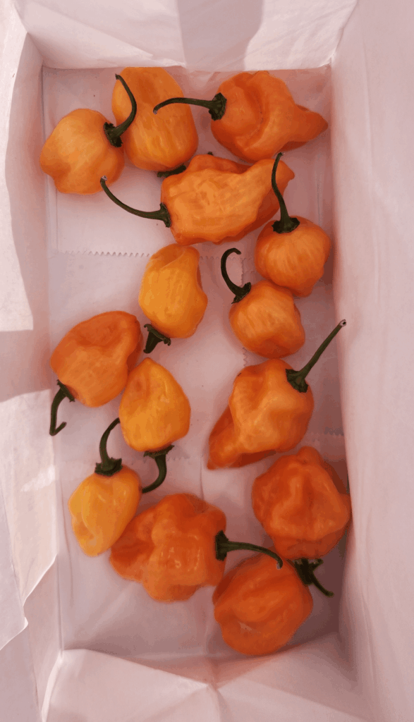 Mmm Habanero!