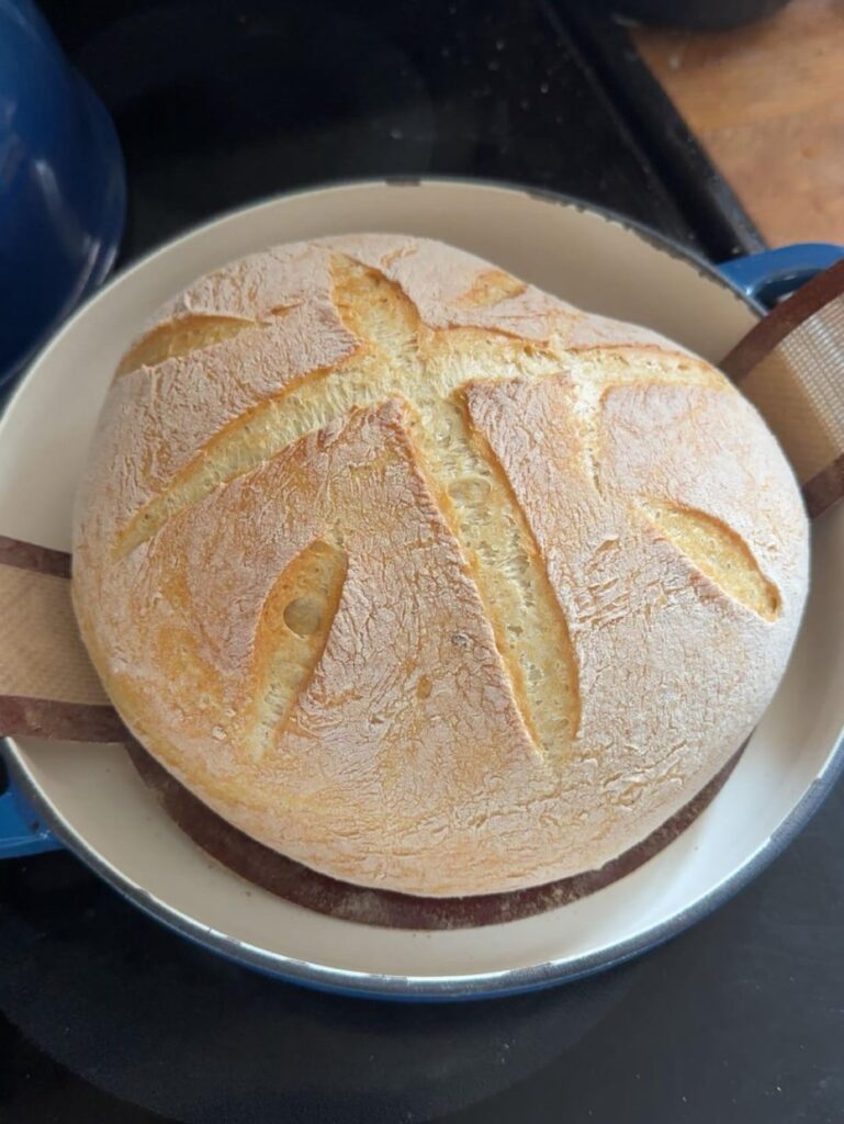 Recently got a Bread Oven ☺️