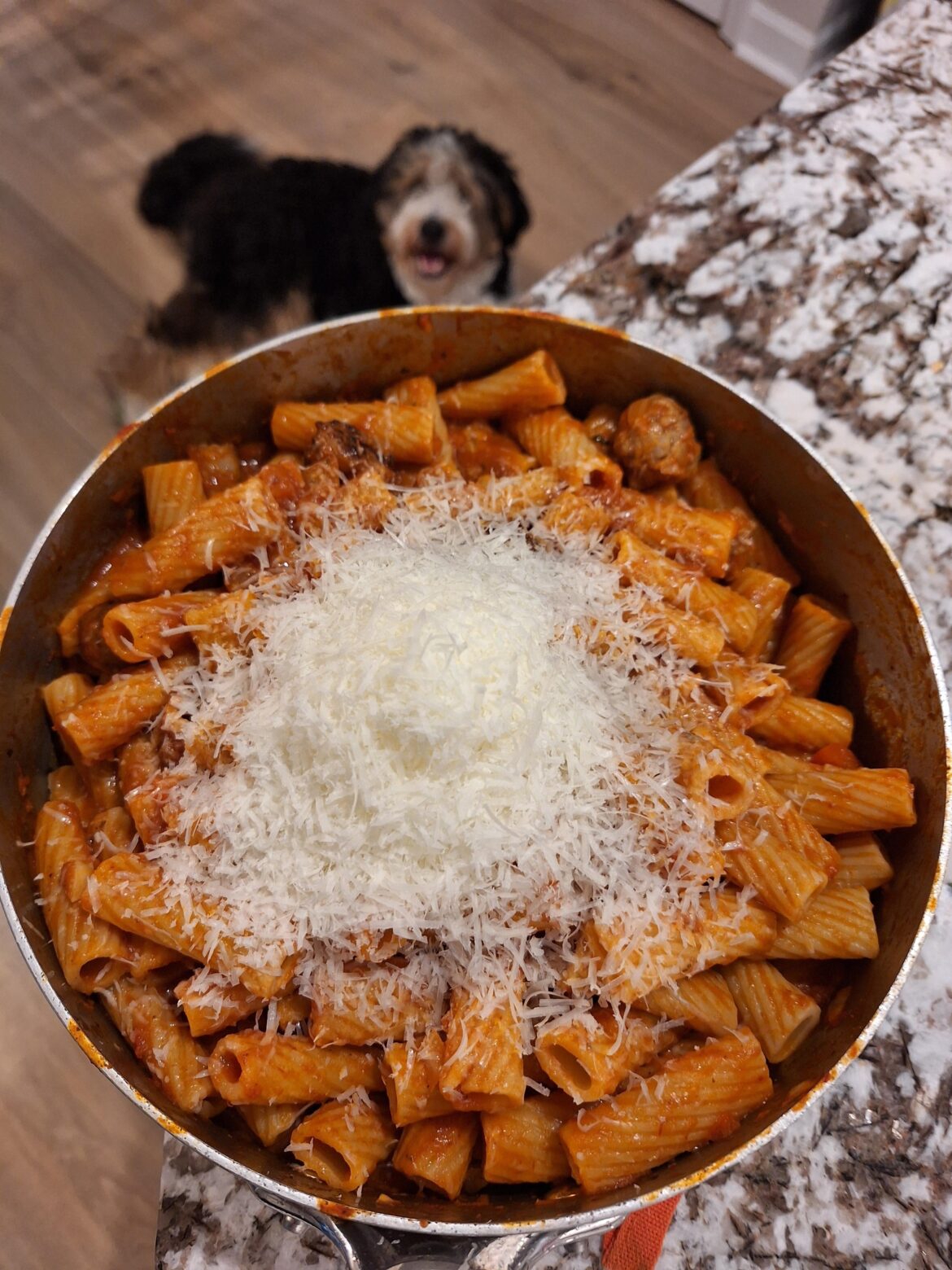 Rigatoni with sausage and a moderate amount of pecorino romano [homemade]