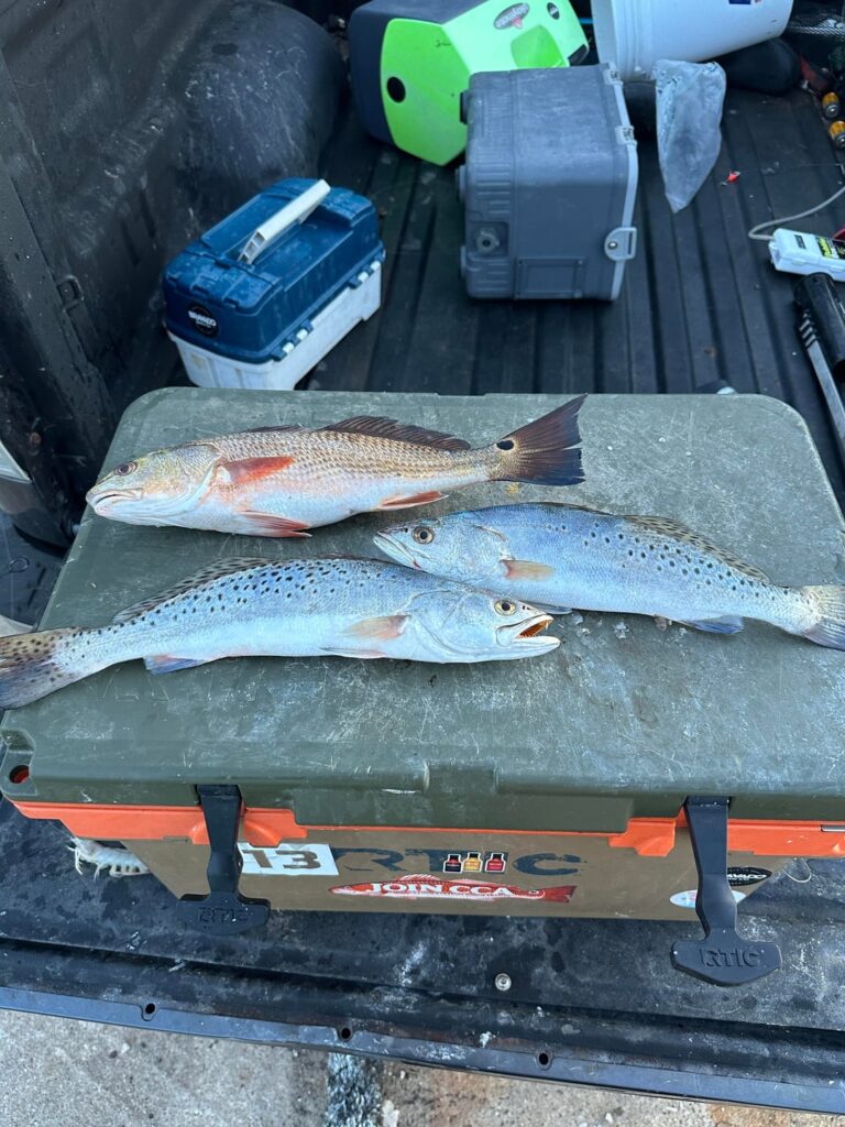 My version of Farm to Table. Personally caught, pan seared Speckled Trout.