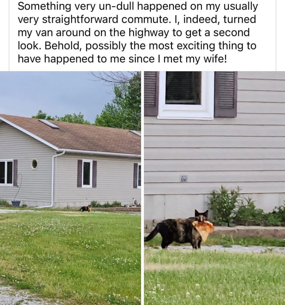 Robbery in progress, send all available units