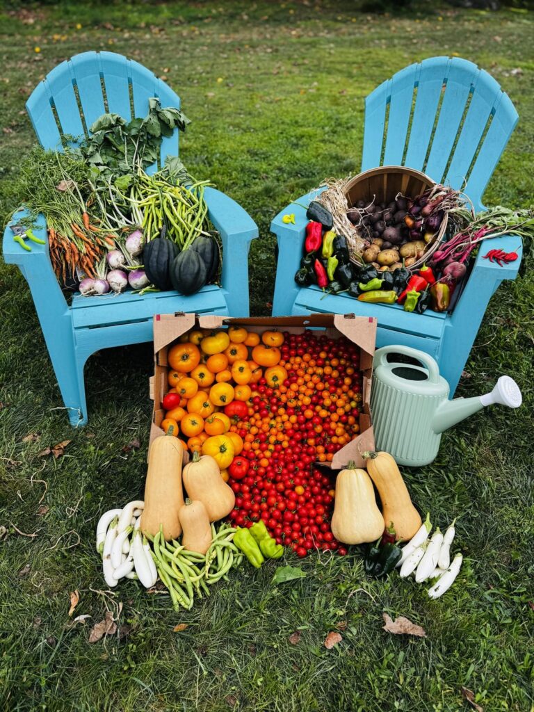 Second year of having an actual yard to grow things in!