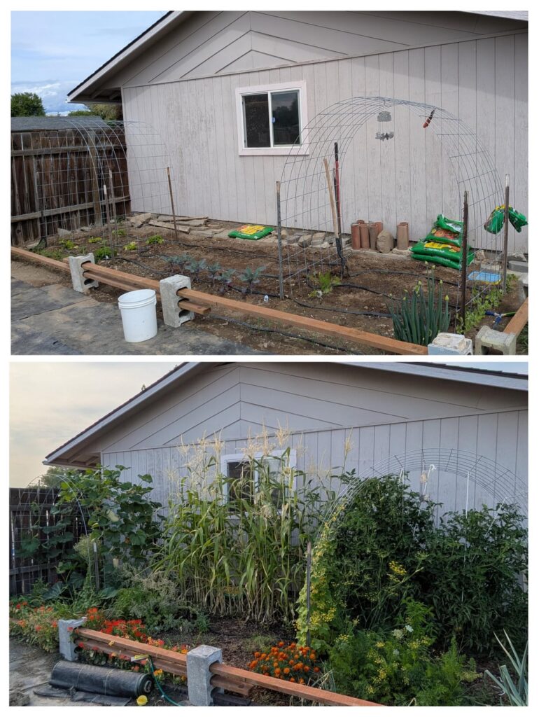 How it started vs how it's going