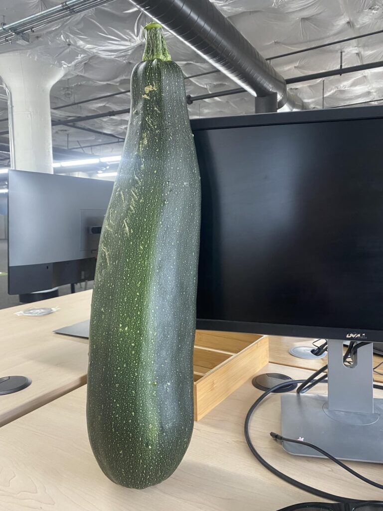 Not a chef, but curious what ideas you have for a 10 lb zucchini.