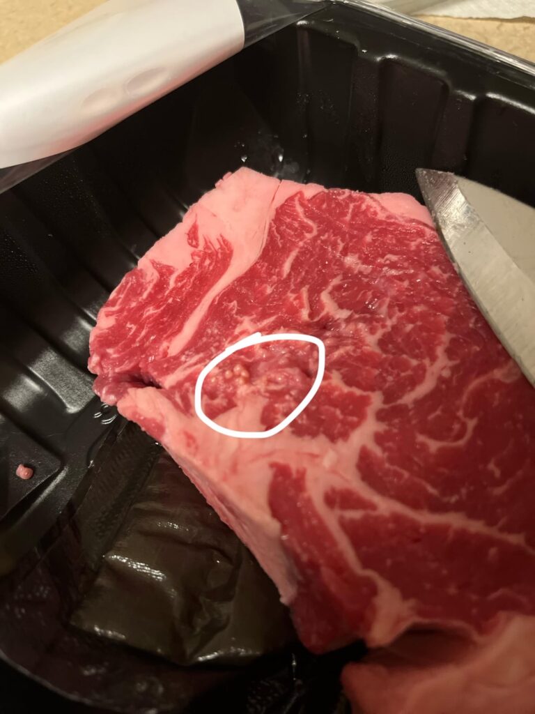 Weird bumps on ribeye Weird bumps on ribeye