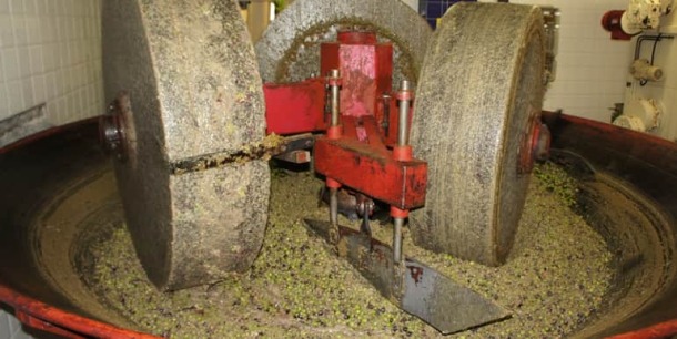 olive-verdi1-770x386