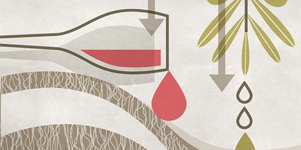 Mediterranean Countries Forget the Mediterranean Diet