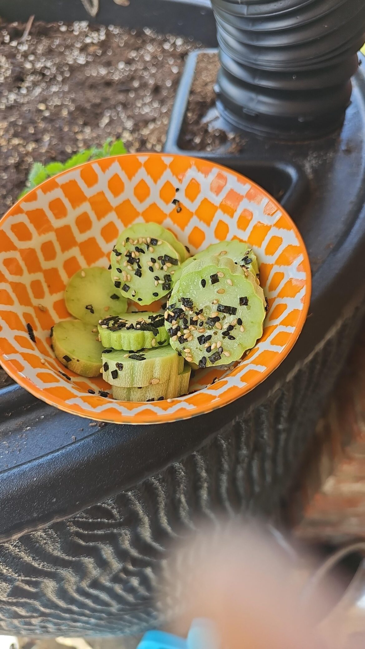 I love eating snacks that I grew.