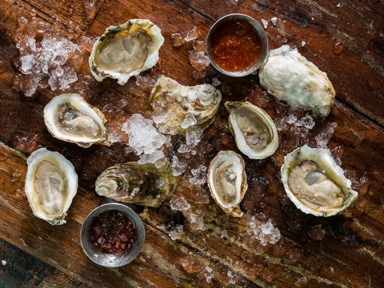 oysters