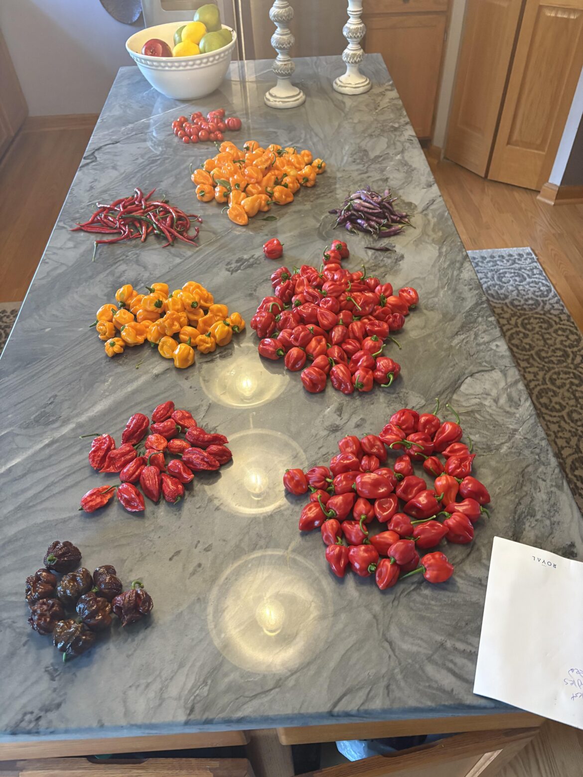 New member showing my first haul of peppers