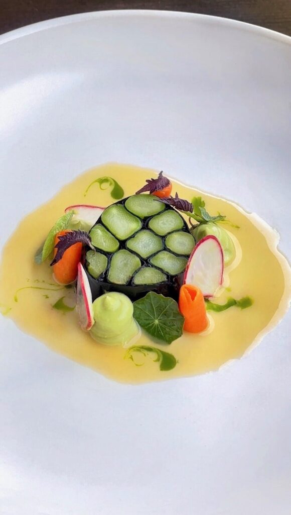 Asparagus mosaic, carrot, avocado crema, pickled radish, lemon caper sauce, and parsley, spring onion oil.