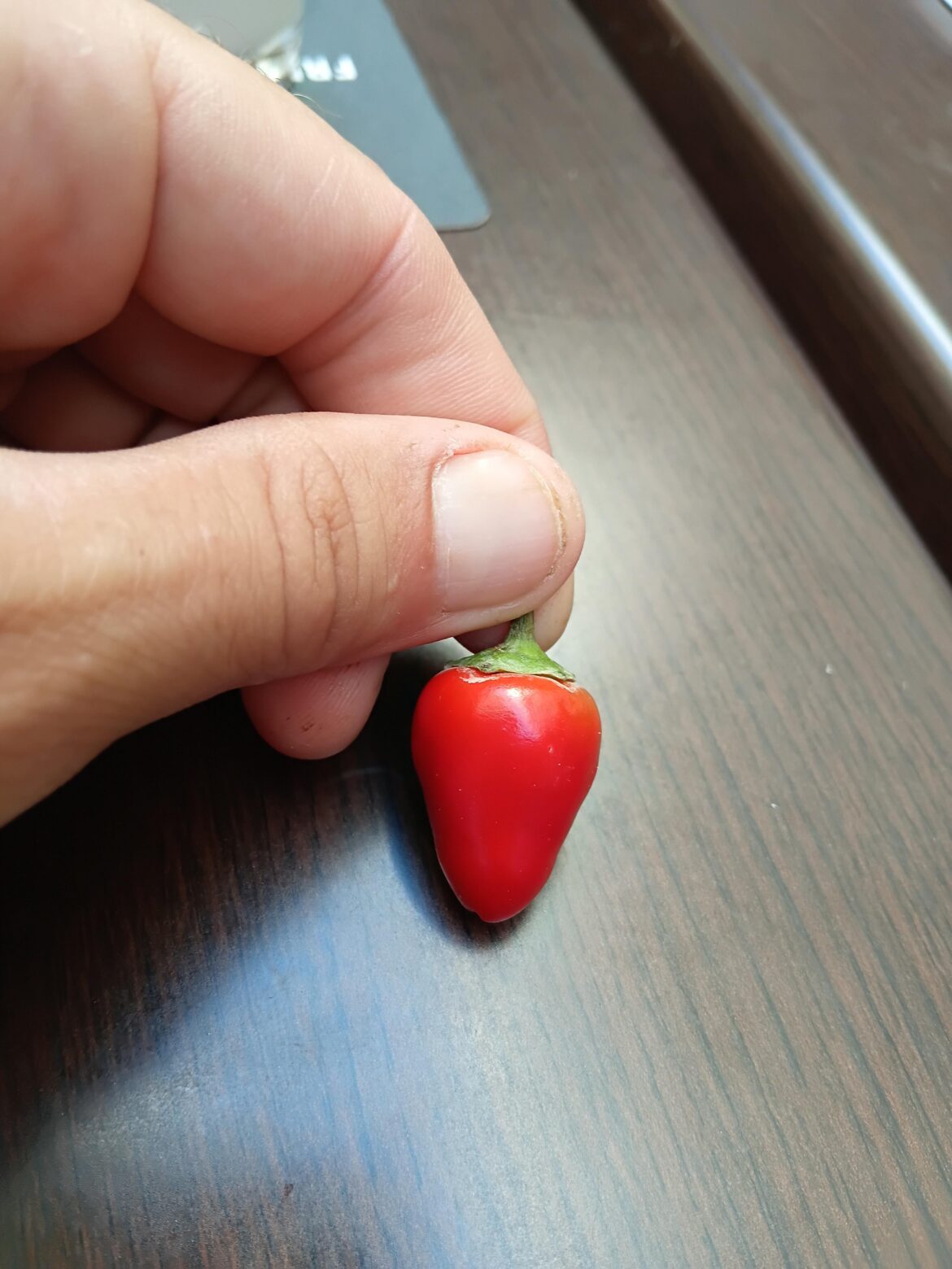 Need Help Identifying This Pepper! Much Spicier Than Thought