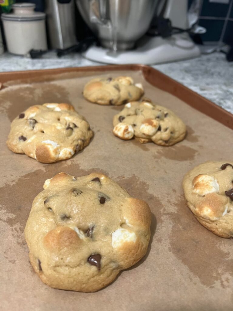 Made these insane s’mores cookies with a graham cracker bottom