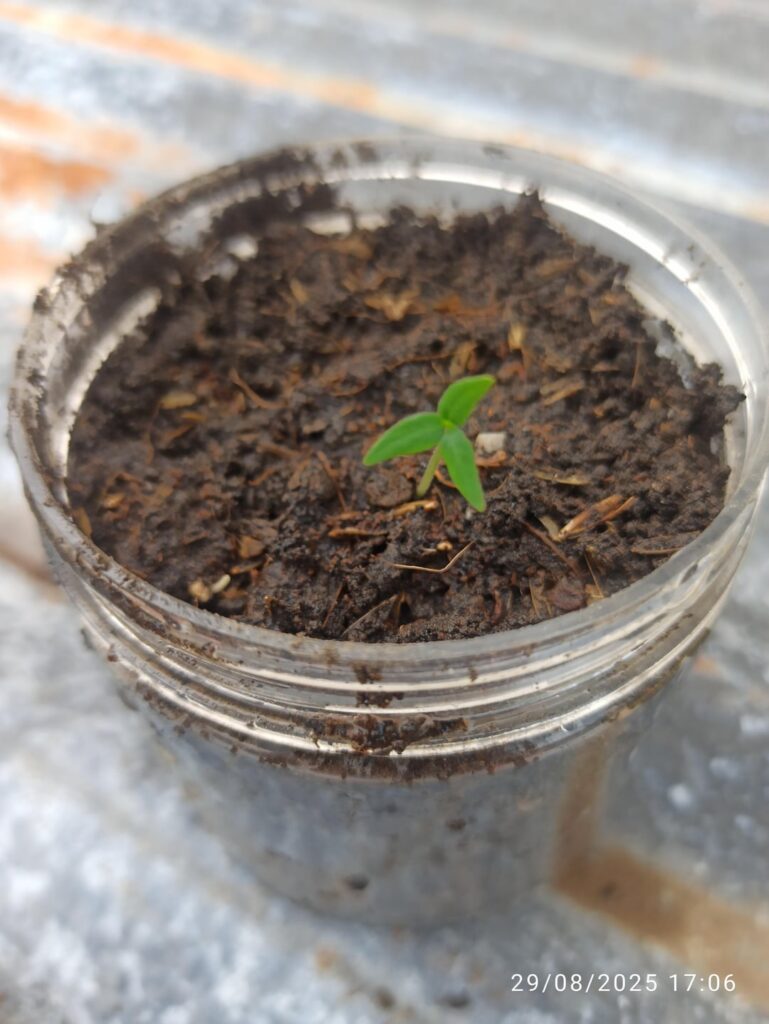 I got high hopes on this one