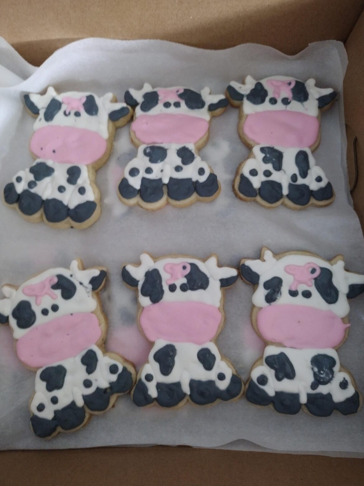 My first royal icing success