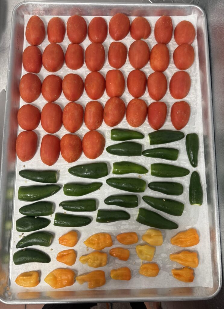 Mandarin salsa I made at work yesterday.