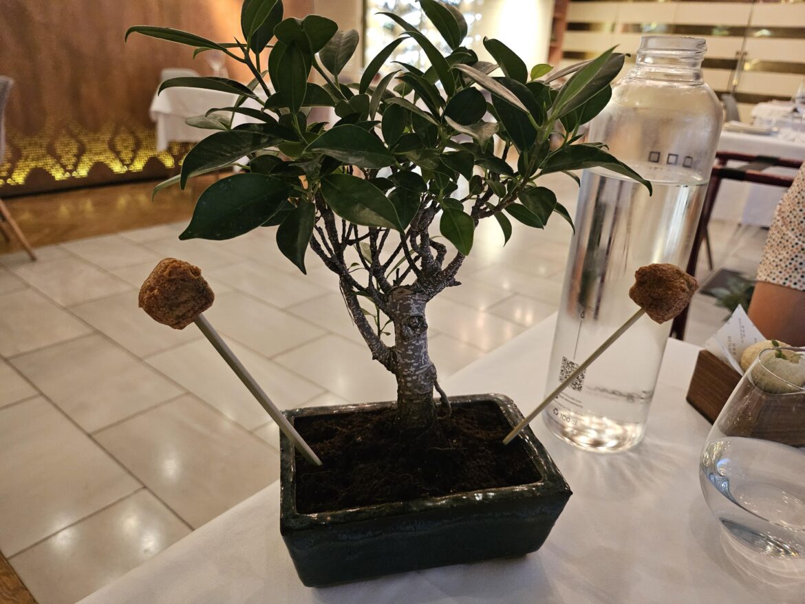 Potato tree