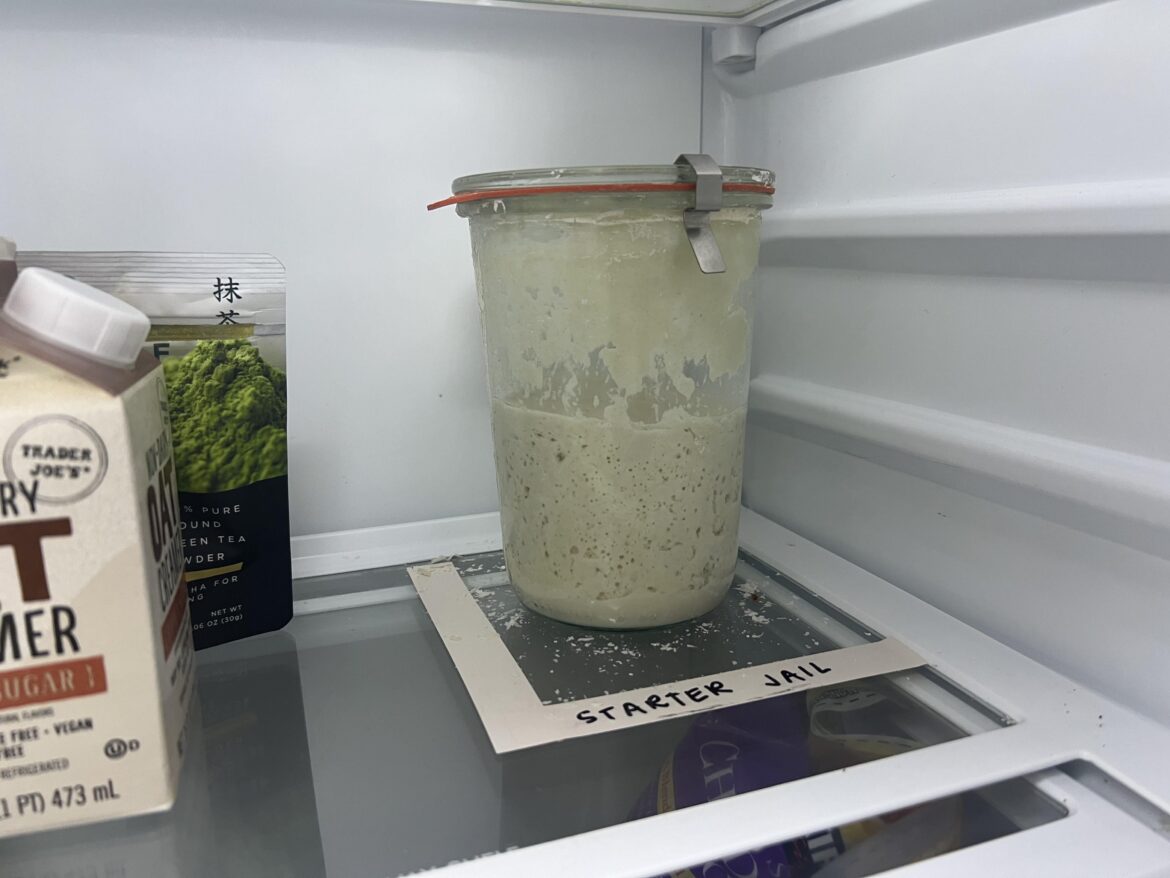 Don’t look a gift horse in the mouth but