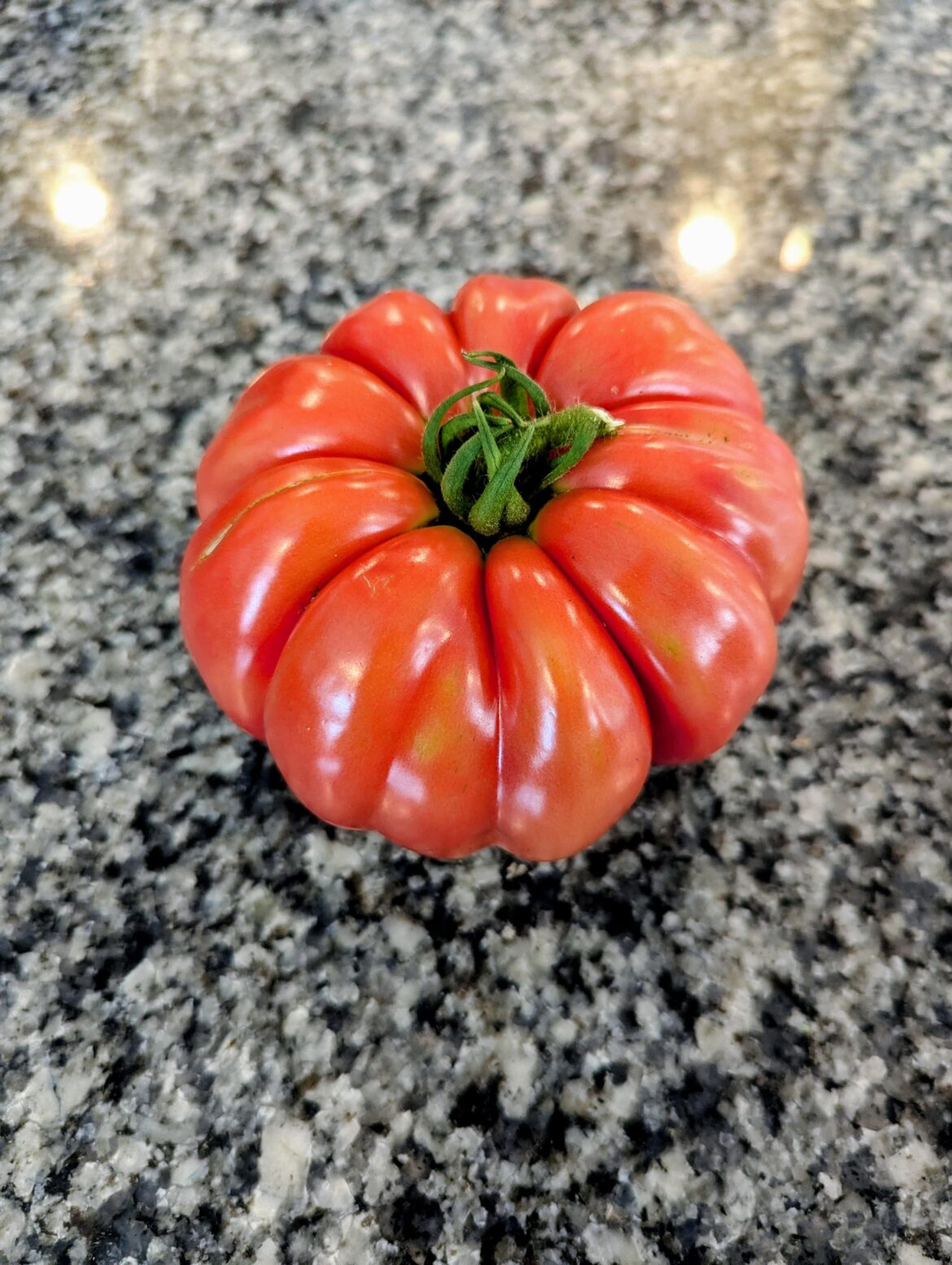 Mushroom Basket tomatoes are finally ready!