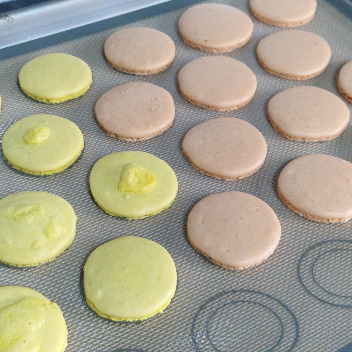 Bubbly Macarons