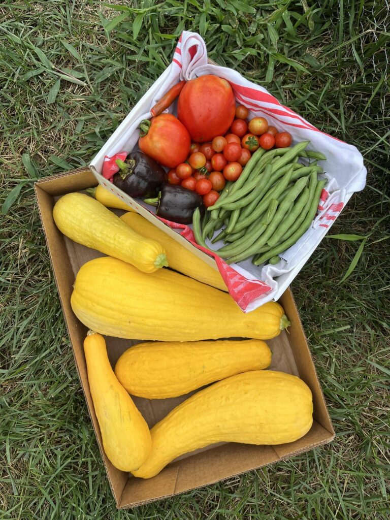 Let this be your sign to start! Let this be your sign to start!