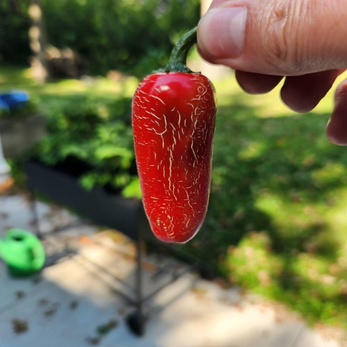 What should I eat this with?