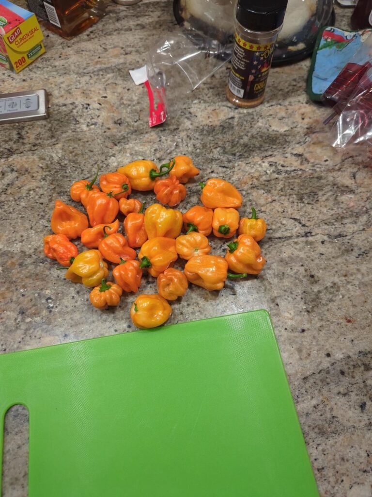 Fresh habaneros from the garden being turned into poppers Fresh habaneros from the garden being turned into poppers