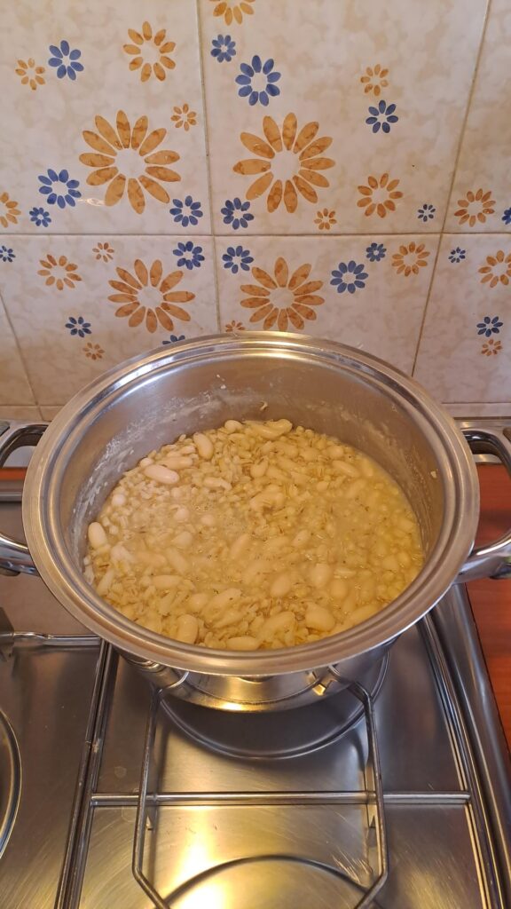 Orzo and navy bean soup