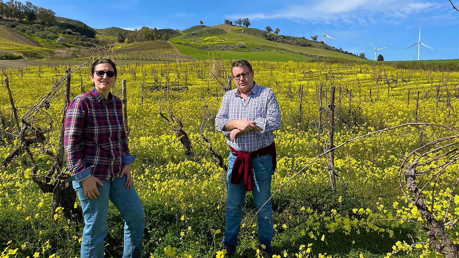  Melissa Muller and Fabio Sireci 