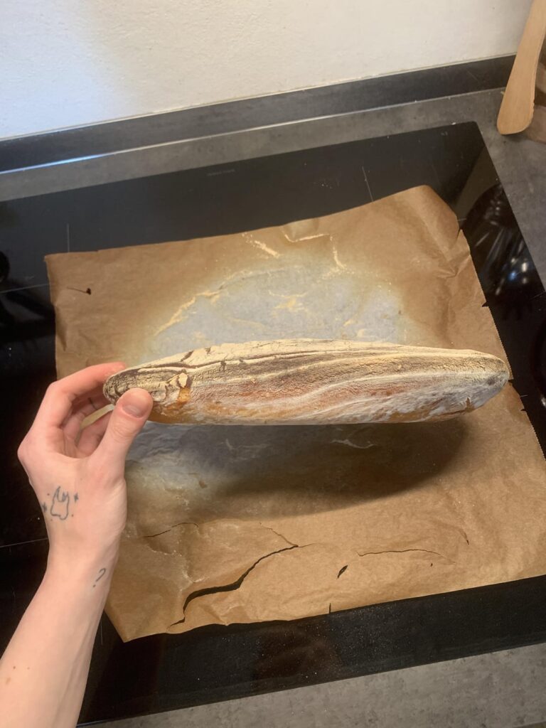 wheezing at this absolute disk of a loaf wheezing at this absolute disk of a loaf