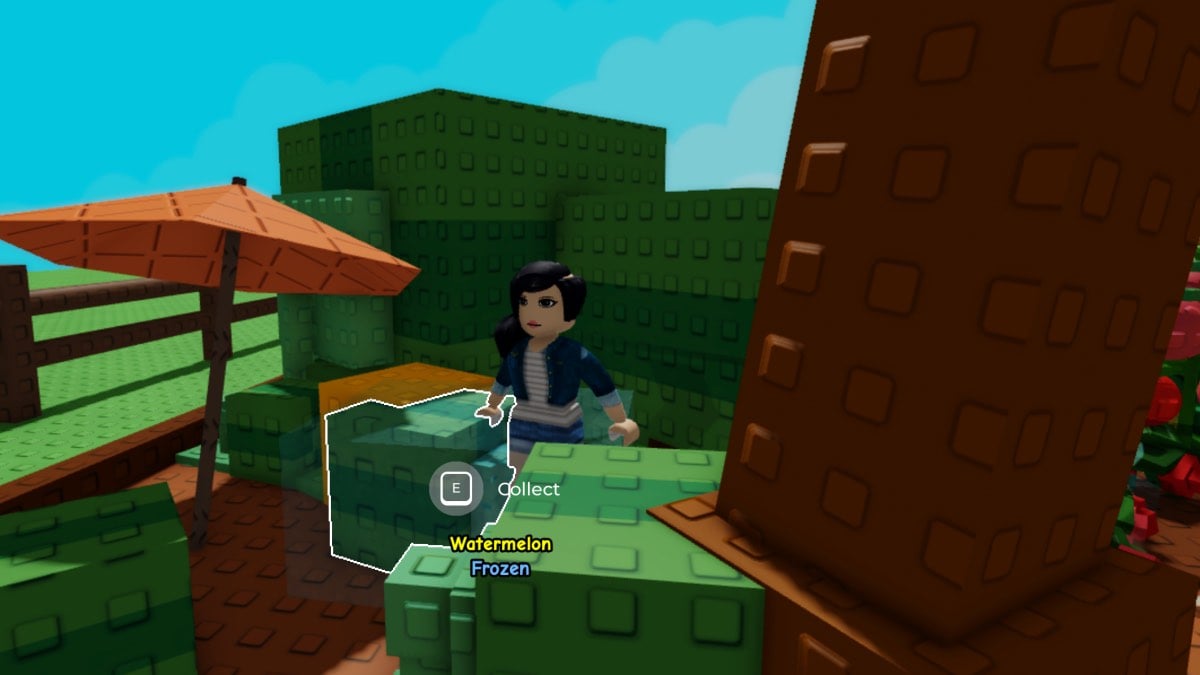 roblox character with watermelons