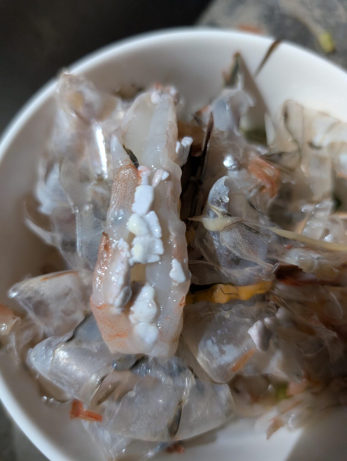 Cottage cheese stuff in Gulf Shrimp?