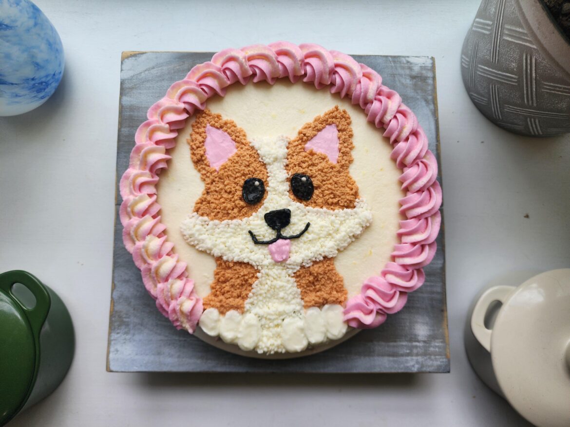 Made a corgi cake for a local breeder ❤️