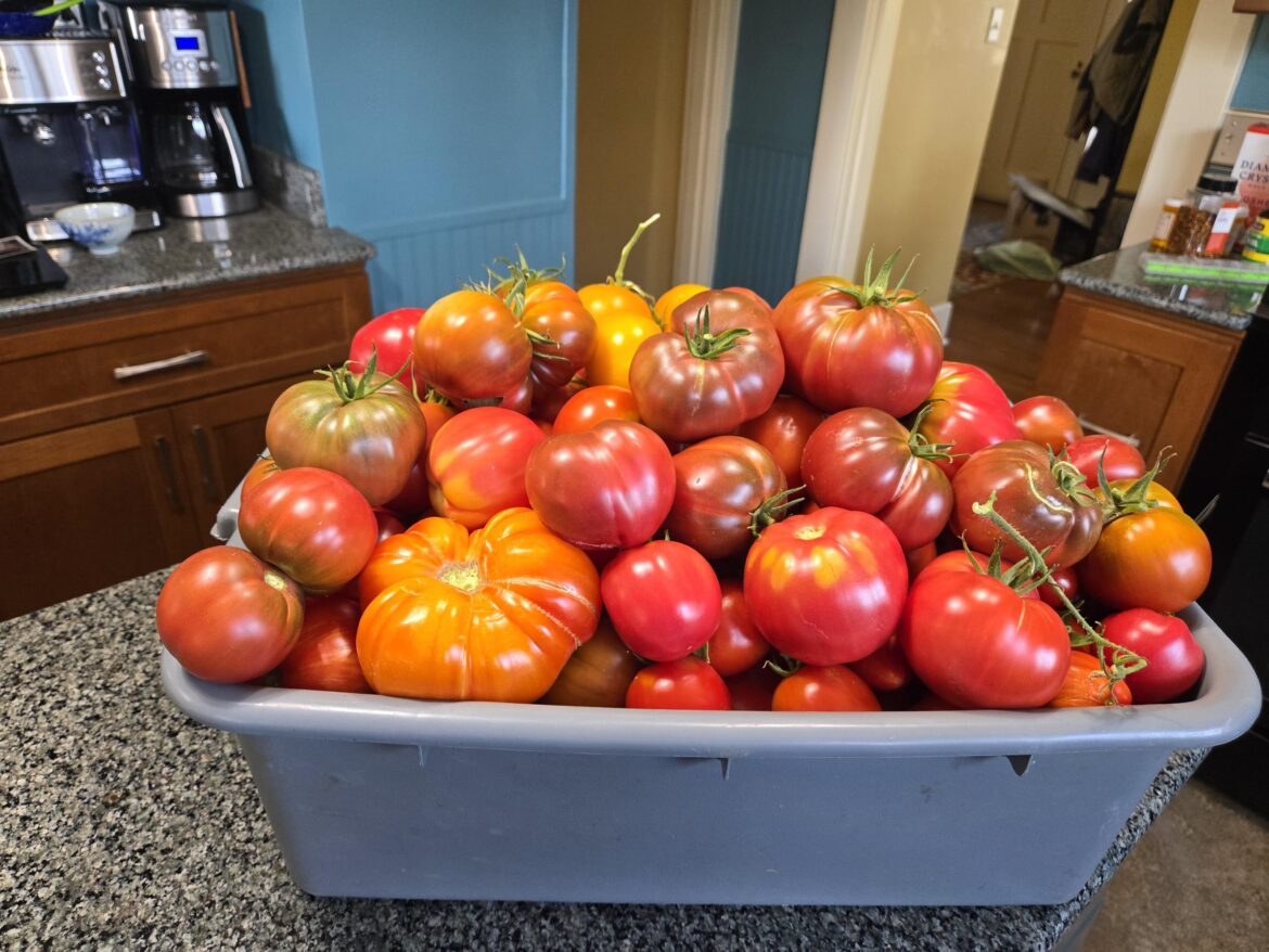 Needed the big tub today!