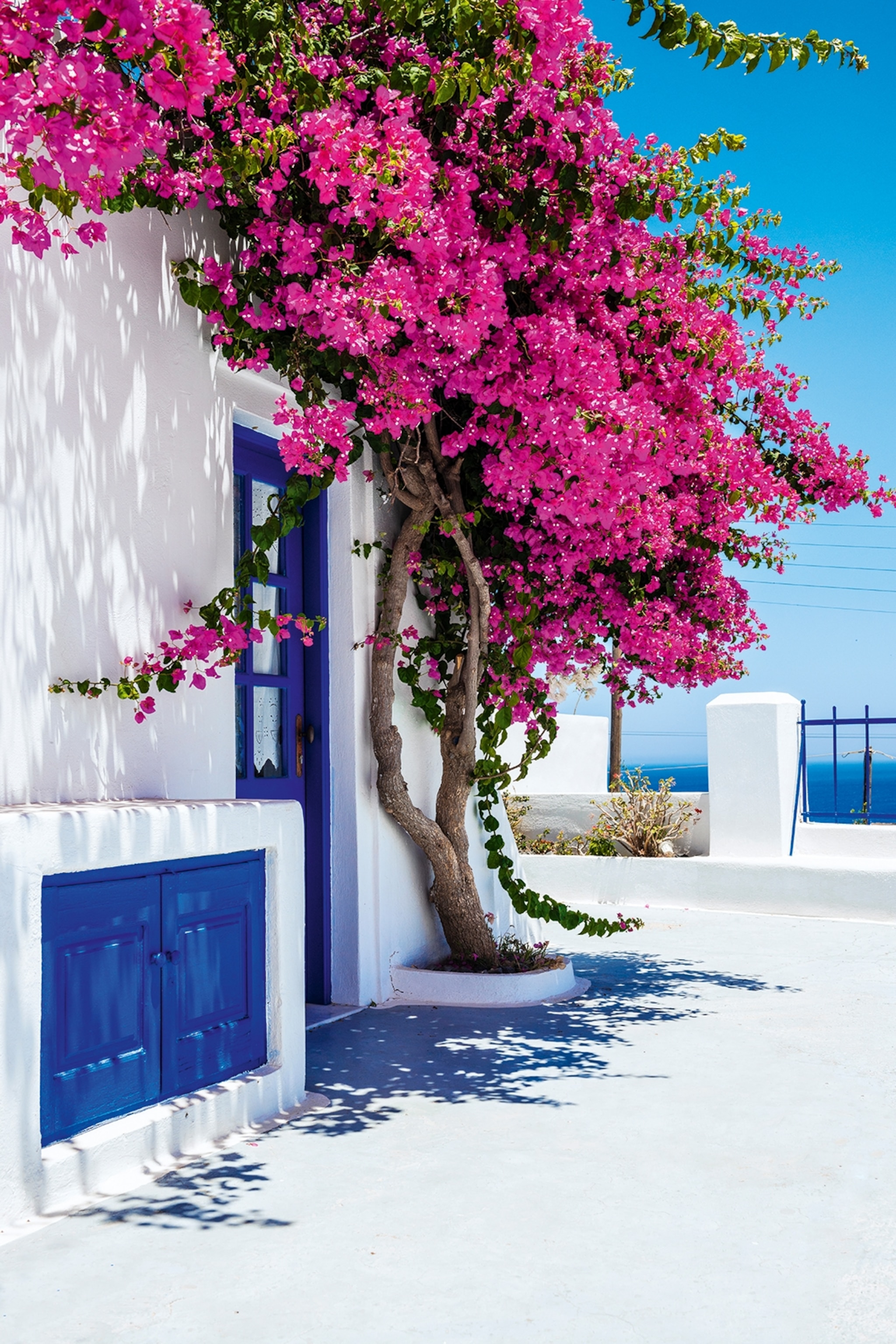 A doorway in Oia, draped in bougainvillea.