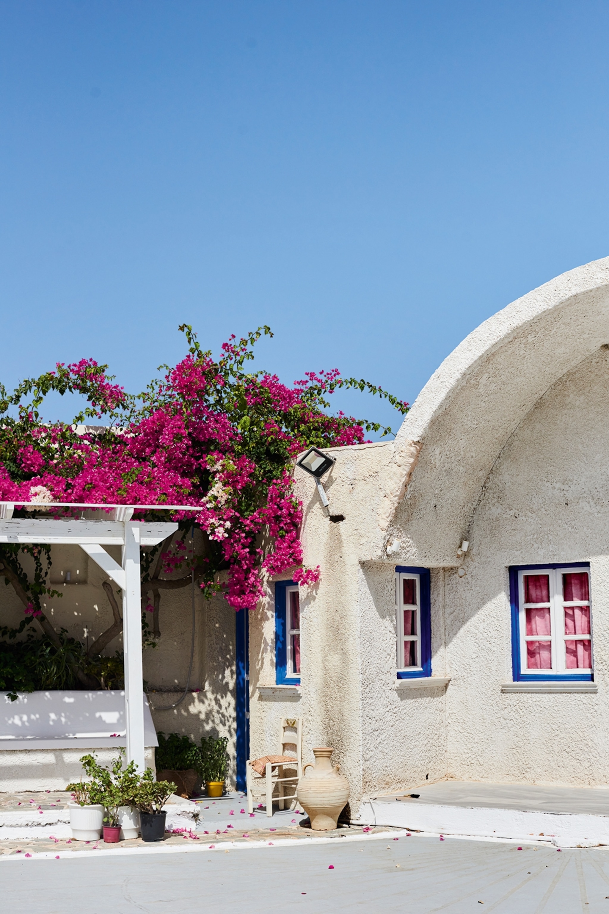 Bourgainvillea draped over a shady corner at Canava Roussos.