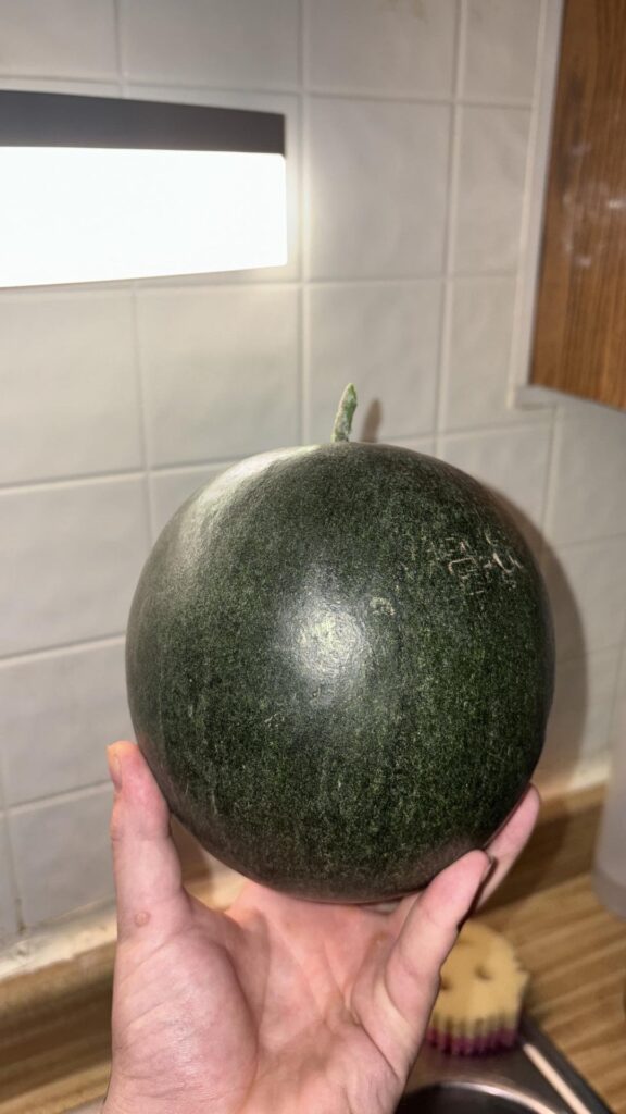 My first ever watermelon!